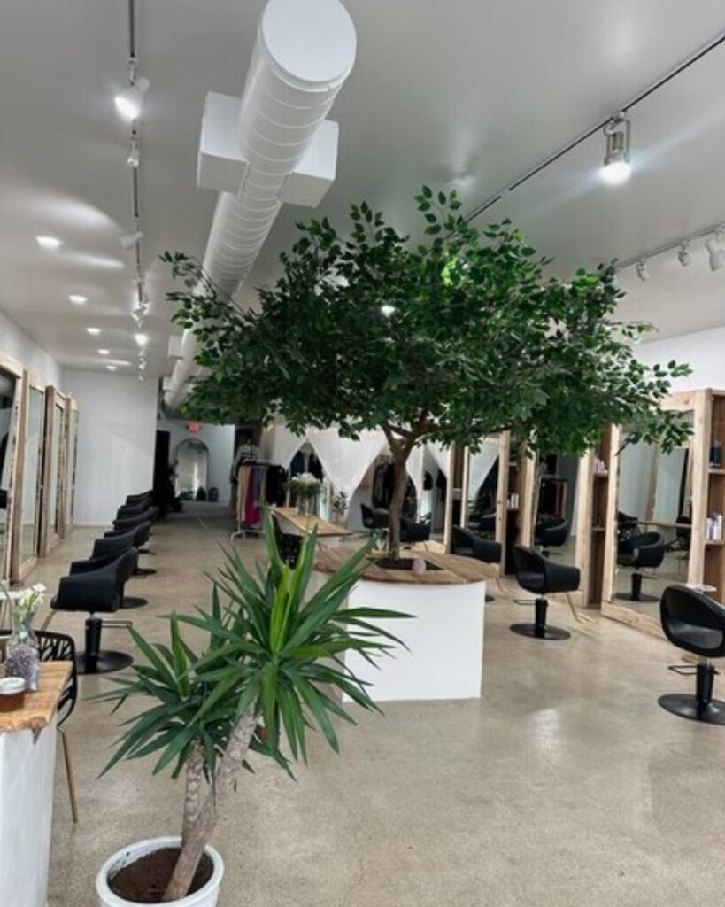 Interior de um salão de beleza amplo, com espelhos, cadeiras de atendimento e plantas decorativas